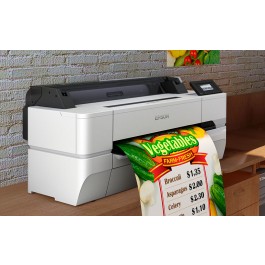 Epson SureColor SC-T3405N (610mm)