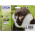 Epson T0895 rašalo kasečių komplektas CMYK