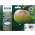Epson T1295 rašalo kasečių komplektas CMYK
